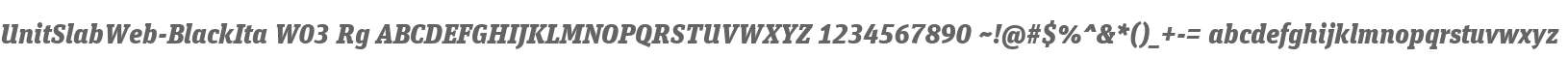 UnitSlabWeb-BlackIta W03 Rg