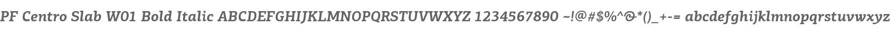 PF Centro Slab W01 Bold Italic