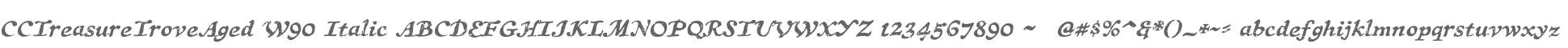 CCTreasureTroveAged W90 Italic