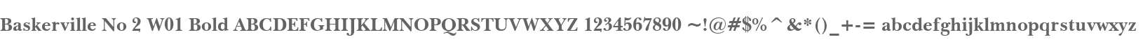 Baskerville No 2 W01 Bold
