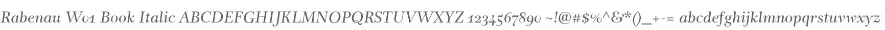 Rabenau W01 Book Italic