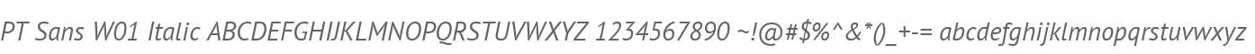 PT Sans W01 Italic