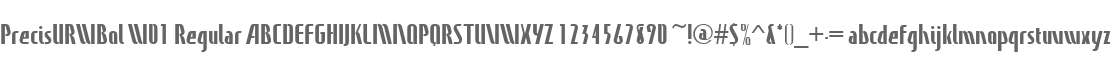 PrecisURWBol W01 Regular