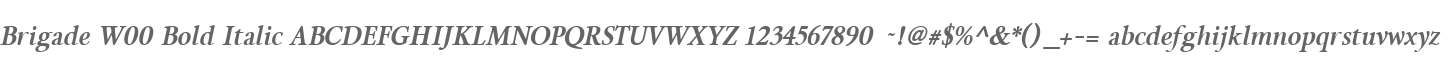 Brigade W00 Bold Italic