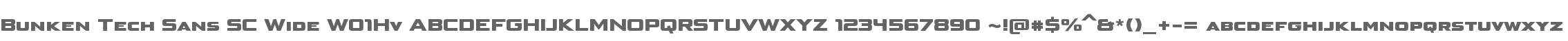 Bunken Tech Sans SC Wide W01Hv