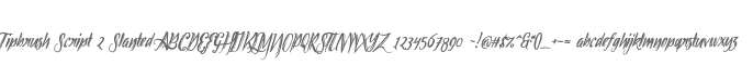 Tipbrush Script 2 Slanted