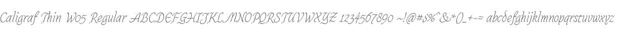 Caligraf Thin W05 Regular
