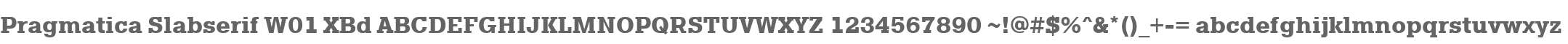 Pragmatica Slabserif W01 XBd