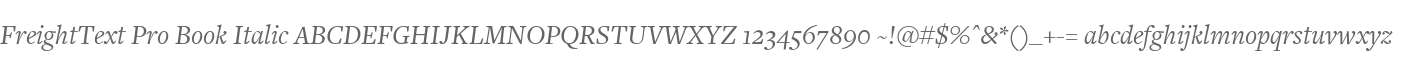 FreightText Pro Book Italic