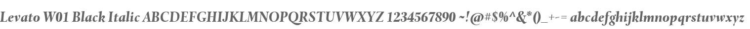 Levato W01 Black Italic
