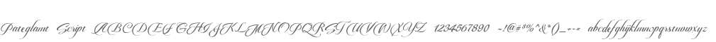 Pateglamt Script