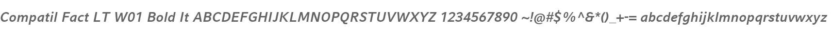 Compatil Fact LT W01 Bold It