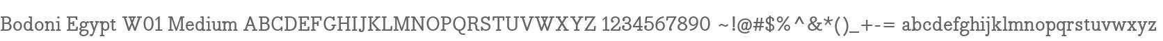 Bodoni Egypt W01 Medium