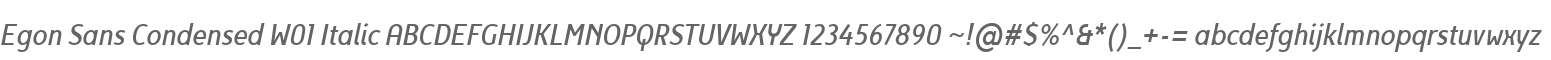 Egon Sans Condensed W01 Italic