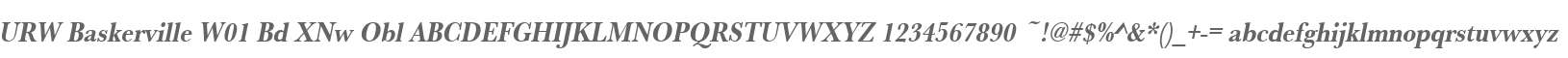 URW Baskerville W01 Bd XNw Obl