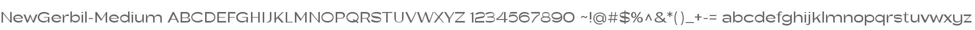 New Gerbil Med