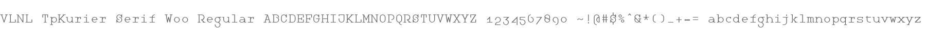 VLNL TpKurier Serif W00 Regular