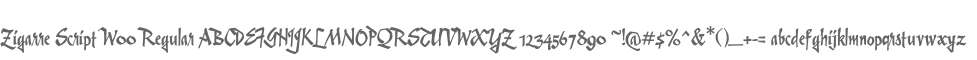 Zigarre Script W00 Regular