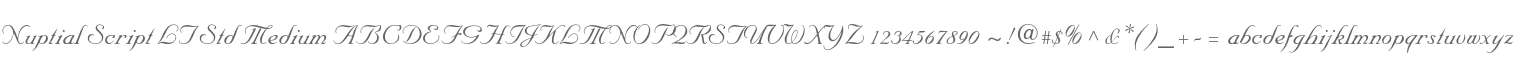 Nuptial Script LT Std Medium