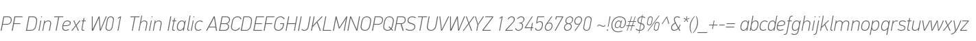 PF DinText W01 Thin Italic
