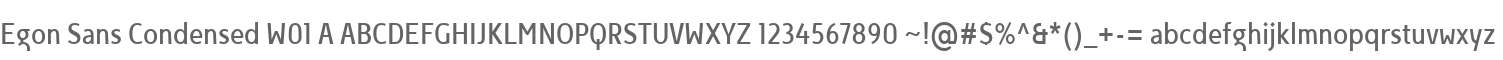 Egon Sans Condensed W01 A