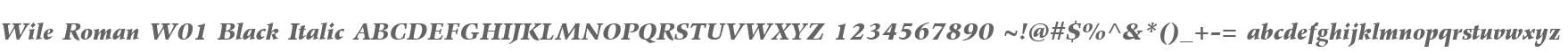 Wile Roman W01 Black Italic