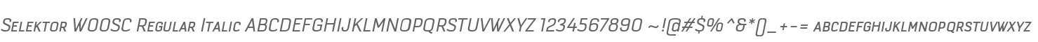 Selektor W00SC Regular Italic