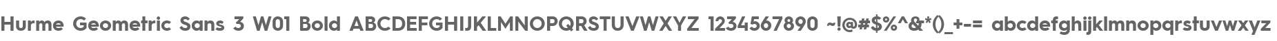 Hurme Geometric Sans 3 W01 Bold