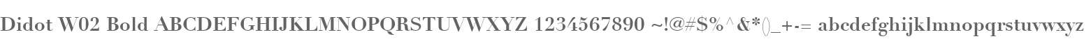 Didot W02 Bold
