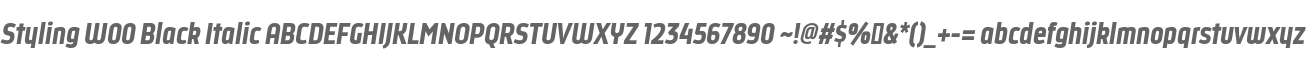 Styling W00 Black Italic