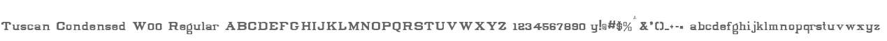 Tuscan Condensed W00 Regular