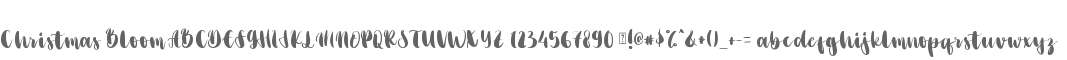 Christmas Bloom
