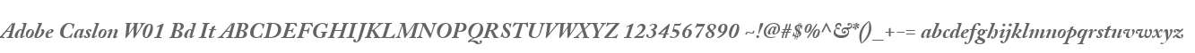 Adobe Caslon W01 Bd It