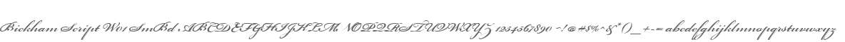 Bickham Script W01 SmBd