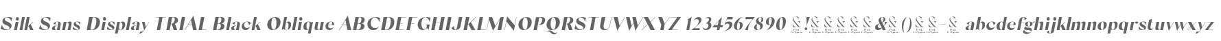 Silk Sans Display TRIAL Black Oblique