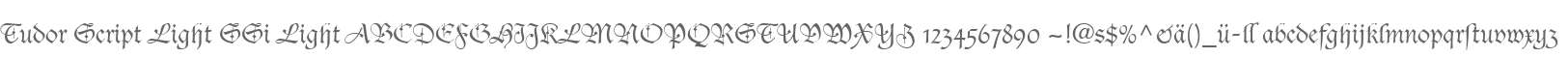 Tudor Script Light SSi Light