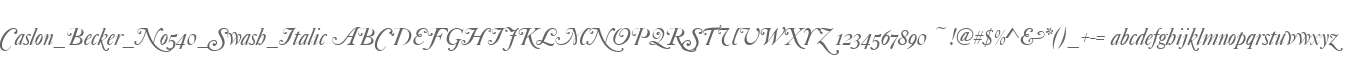Caslon_Becker_No540_Swash_Italic