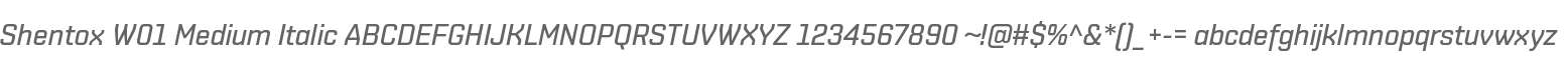 Shentox W01 Medium Italic