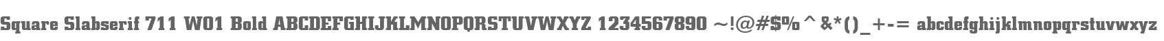 Square Slabserif 711 W01 Bold