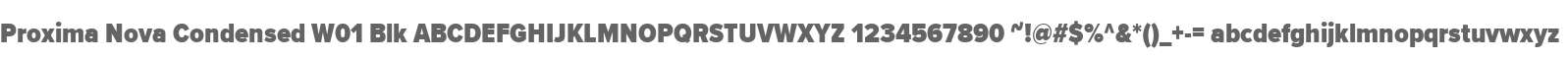 Proxima Nova Condensed W01 Blk