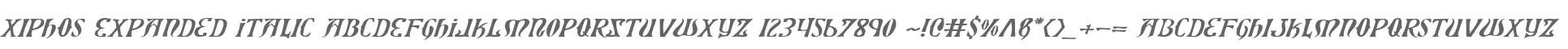 Xiphos Expanded Italic