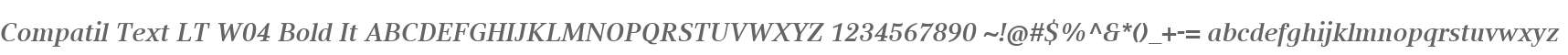 Compatil Text LT W04 Bold It