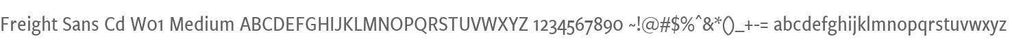 Freight Sans Cd W01 Medium