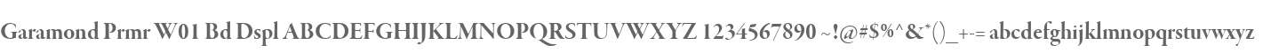 Garamond Prmr W01 Bd Dspl