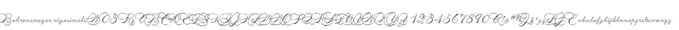 Behrensmeyer vigesimals W03 Rg