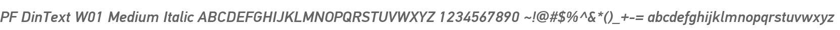 PF DinText W01 Medium Italic