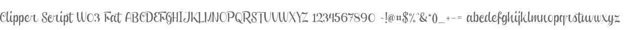 Clipper Script W03 Fat