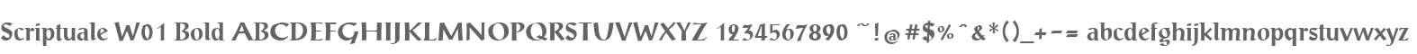 Scriptuale W01 Bold
