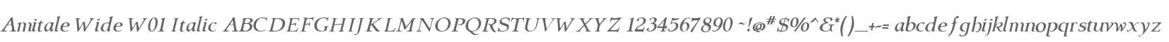 Amitale Wide W01 Italic