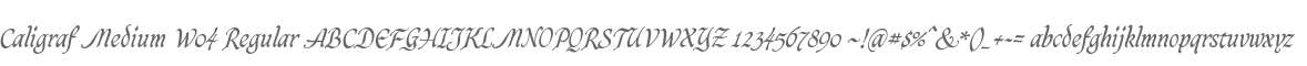 Caligraf Medium W04 Regular